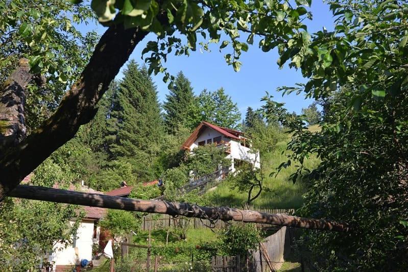 Cabana Vânătorilor Poiana Mărului Exterior foto